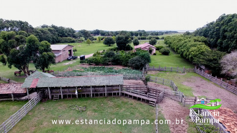 INICIO GADO TOP.00_01_03_05.Quadro017_5c43251e6f5659a7e68725c6425849904008c546.jpg